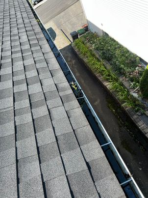 Before cleanup: pine needles accumulated in a gutter in Saint-Bruno-de-Montarville